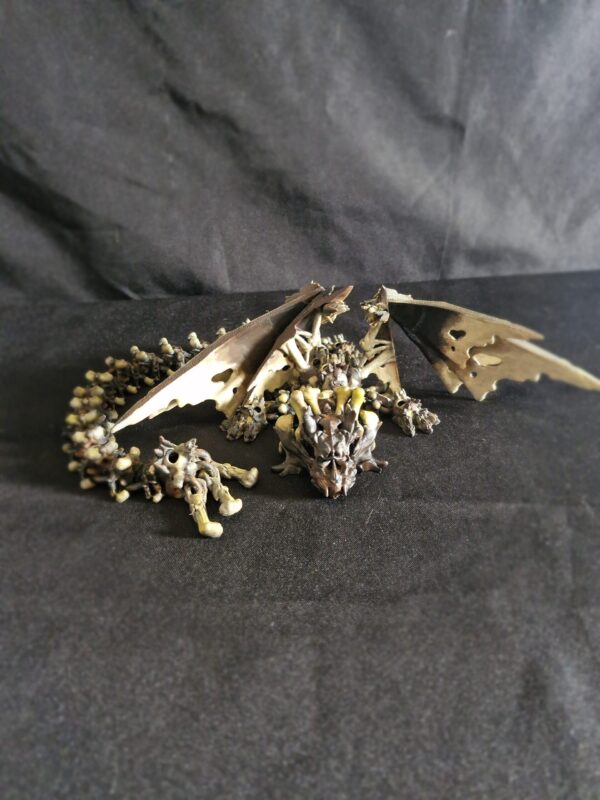 Gliederdrache Skelett: Moccachino