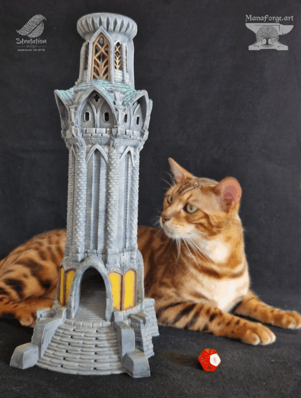 Fire in the Night dice tower, and Cassian