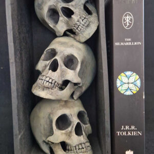 Skulls Book Nook