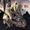 Hollow Dragon (head)